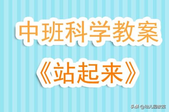 幼儿园中班科学教案《站起来》含反思 